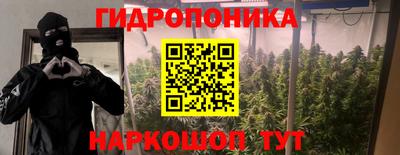 ECSTASY Северобайкальск